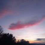 Jardin Contemplativo Color Salud
