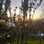 Jardin Contemplativo Color Salud