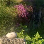 Jardin Contemplativo Color Salud