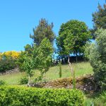 Jardin Contemplativo Color Salud