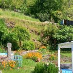 Jardin Contemplativo Color Salud