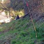 Jardin Contemplativo Color Salud